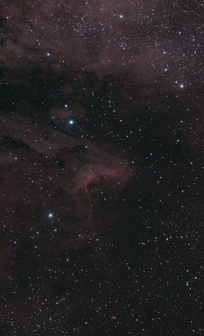 IC5070 - Pelican Nebula