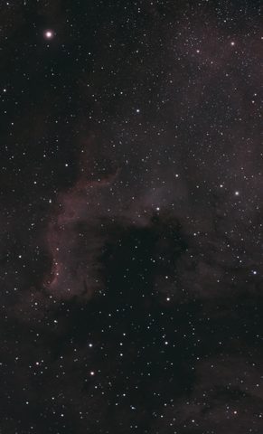 NGC7000 - North America Nebula
